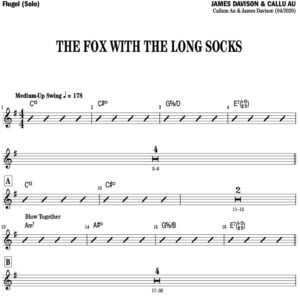 The Fox with Long Socks